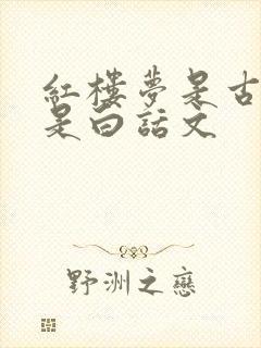 红楼梦是古文还是白话文
