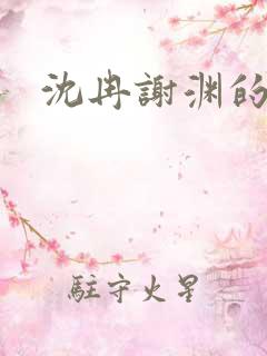 沈冉谢渊的小说