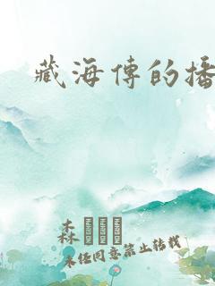 藏海传的播放量