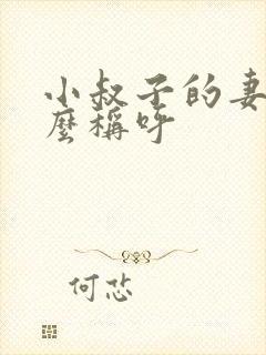 小叔子的妻子怎么称呼 小叔子的妻子怎么称呼