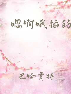 嗯啊哦插的好爽