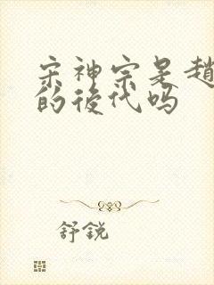 宋神宗是赵匡胤的后代吗 宋神宗是赵匡胤的后代吗