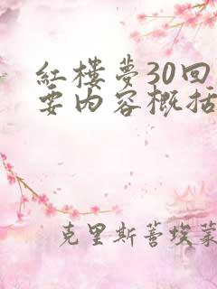 红楼梦30回主要内容概括
