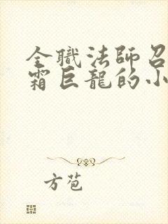全职法师召唤冰霜巨龙的小说