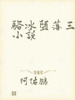 骆冰堕落三部曲小说