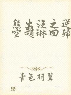 熊出没之逆转时空赵琳回归吗