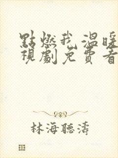 点燃我温暖你电视剧免费看完整版