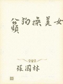 公狗操美女b视频
