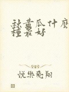 秋黄瓜什么时间种最好