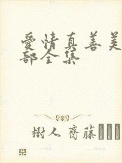 爱情真善美第二部全集