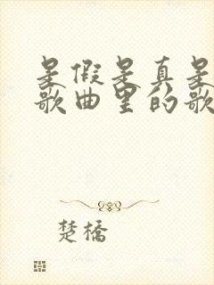 是假是真是哪首歌曲里的歌词