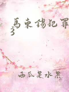 马东锡犯罪都市3