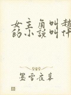 女主角叫赵锦儿的小说叫什么名字