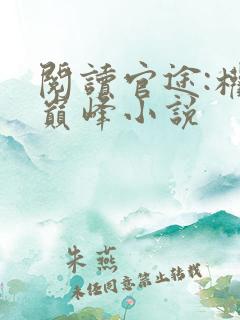 阅读官途:权力巅峰小说