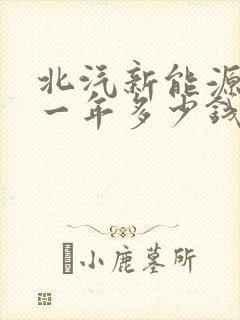北汽新能源租车一年多少钱