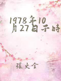 1978年10月27日子时生辰八字算命