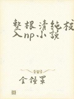 整根清纯校花插入np小说