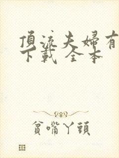 顶流夫妇有点甜下载 全本