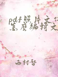 pdf照片文件怎么编辑文字