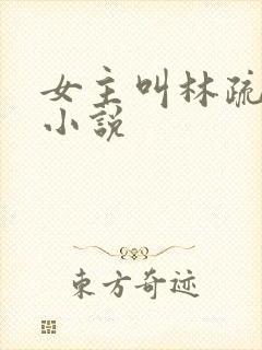 女主叫林疏月的小说