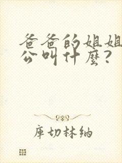 爸爸的姐姐的老公叫什么?