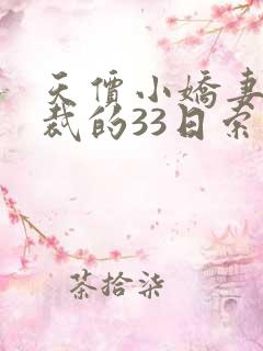 天价小娇妻:总裁的33日索