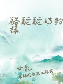骆驼驼奶粉怎么样