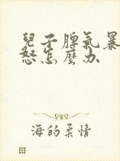 儿子脾气暴躁易怒怎么办