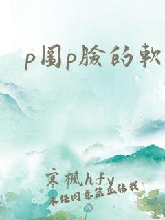 p图p脸的软件
