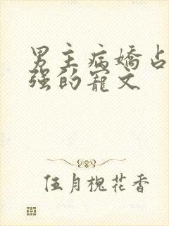 男主病娇占有欲强的宠文