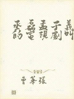 丞磊孟子义主演的电视剧叫什么