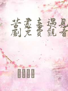 苦尽来遇见你韩剧免费观看全集
