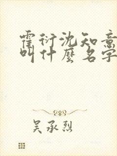 霍衍沈知意小说叫什么名字