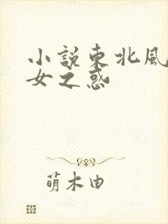 小说东北风情熟女之惑