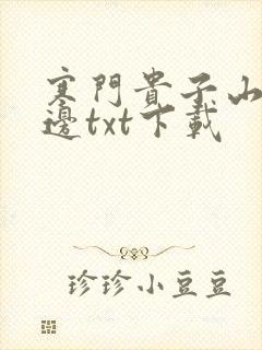 寒门贵子山的那边txt下载