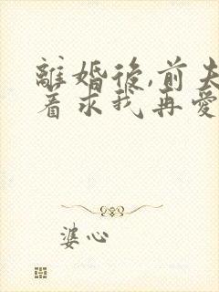 离婚后,前夫哭着求我再爱他一次小说