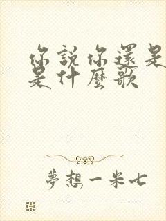 你说你还是爱我是什么歌