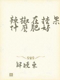 辣椒在挂果期施什么肥好