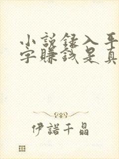 小说录入平台打字赚钱是真的吗