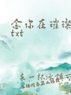 念你在璀璨之巅txt