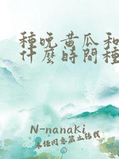 种晚黄瓜和豆角什么时间种