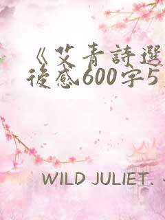 《艾青诗选》读后感600字5篇