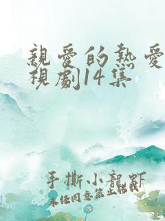亲爱的热爱的电视剧14集