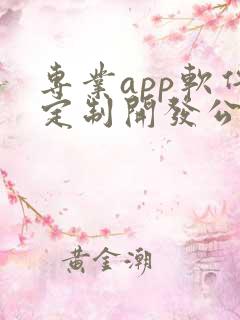 专业app软件定制开发公司