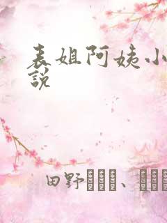 表姐阿姨小杰小说