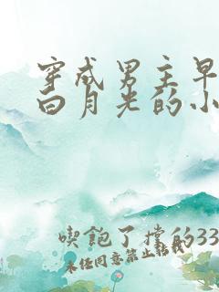 穿成男主早逝的白月光的小说 穿成男主早逝的白月光的小说