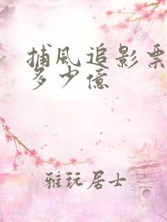 捕风追影票房是多少亿