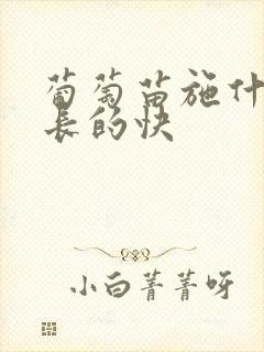 葡萄苗施什么肥长的快