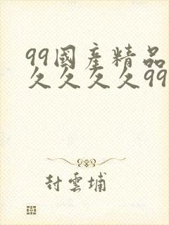 99国产精品久久久久久99