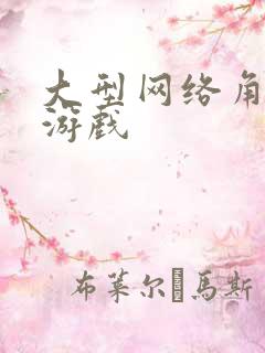 大型网络角色类游戏